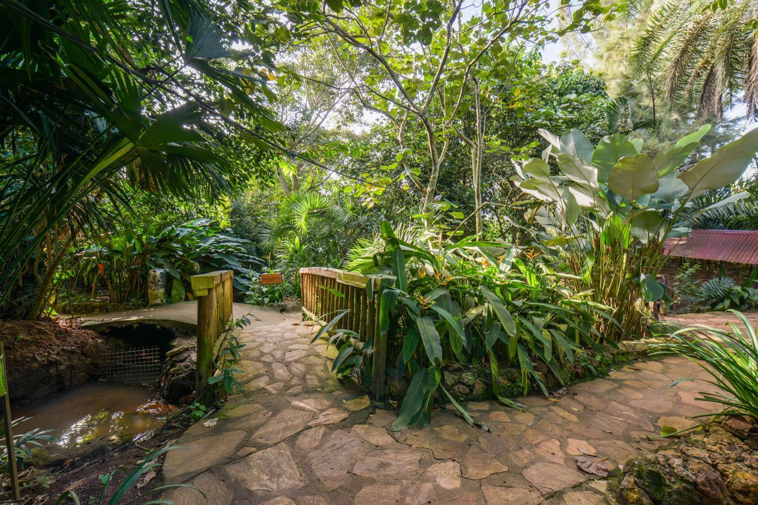 Malakai Eco Lodge Kitende ภายนอก รูปภาพ